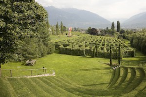 Das Labyrinth aus zehn Rebensorten ist der zentrale Ort des Kränzel-Gartens, Foto: Kränzel