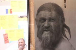 Noch ein jahr zu besichtigen: Eismann Ötzi im Bozener Archäologiemuseum, Foto: Heiner Sieger