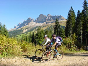 Das Gebiet zwischen Rosengarten und Latemar ist ein Eldorado für Mountainbiker. - Foto: Tourismusverein Eggental