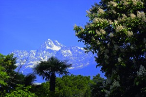 Aussicht auf die Meraner Berge bieten die Südtiroler Verwöhnhotels