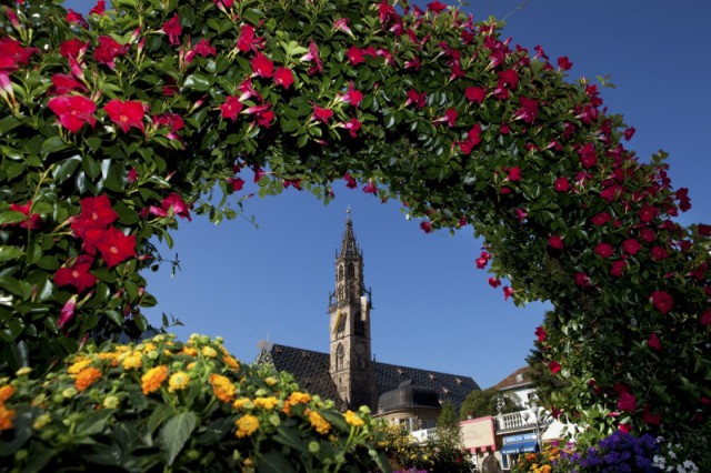 Blumenpracht am Waltherplatz in Bozen; Foto: TV Bozen
