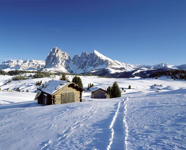 Im Winter verwandeln sich die großflächigen Almen der Seiser Alm in ein romantisches Skigebiet, Foto SMG, Clemens Zahn