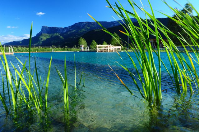 Das Wasser im Naturbad wird täglich mit Dolomitgestein gereinigt: Foto: Naturbad Gargazon